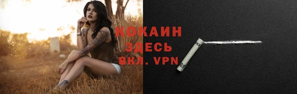 стаф Каменск-Шахтинский