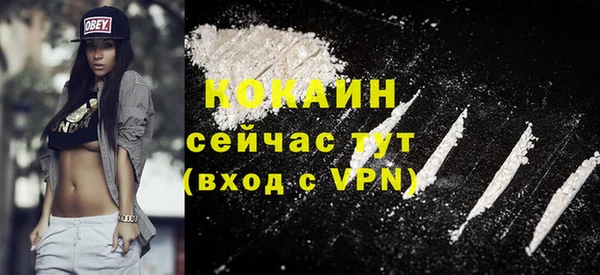 стаф Каменск-Шахтинский