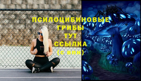мет Каменногорск