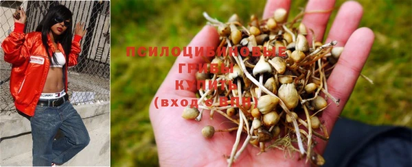 мет Каменногорск