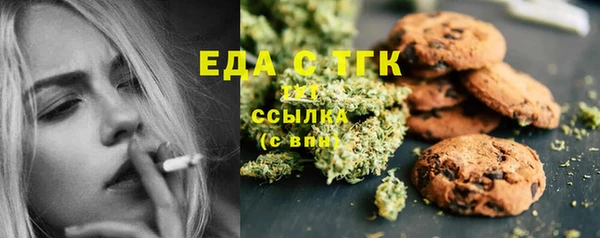 стаф Каменск-Шахтинский